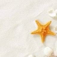 Asdf Movie 7 Minecraft