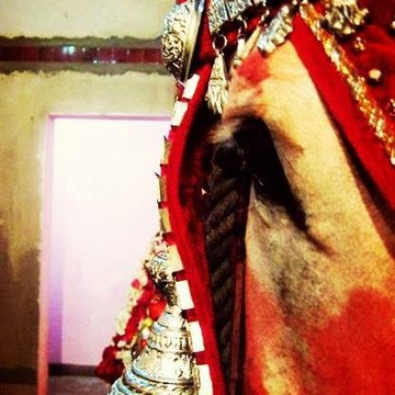 Beautiful pics and videos of zuljanah