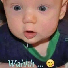 Cewe Bohay.com