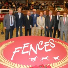 Fences Auctions