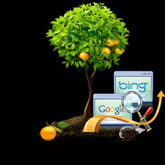 softtrixwebsolutions