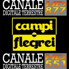 tvcampi flegrei