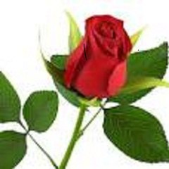 Sub Kuch