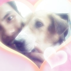 พนาเวทย์ พนมวัลย์