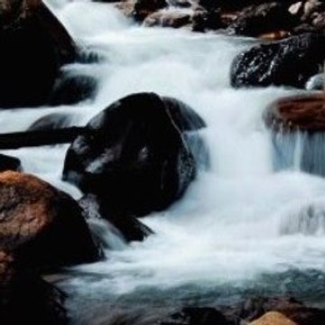 LurleneBartlett Animals