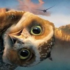 LesleeMcnair News