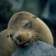 ShayCrutchfield School