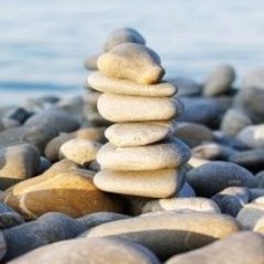 The best of Videogames