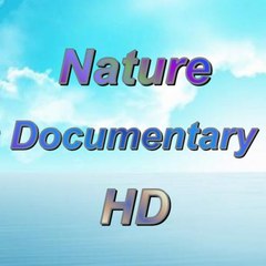 Nature Documentary HD