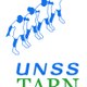 Unss Tarn