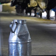 White Milktank
