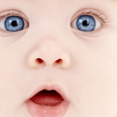 Giải Trí Việt