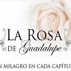 La Rosa De Guadalupe