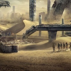 Maze Runner   The Trials Scorch studio