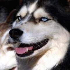 SallieSylvester News