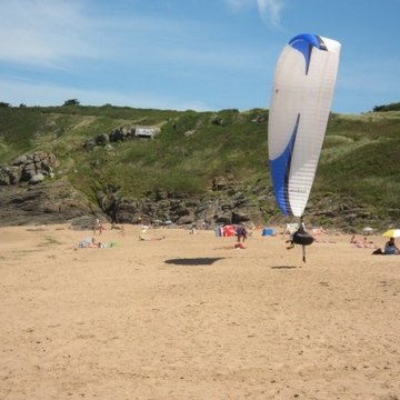 DM (Flying)