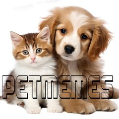 PetMemes 😹❤🐶