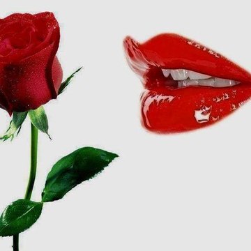 Maria Lourdes Gonzalez Martin