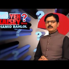 hamid behlol
