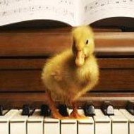 ShondraAsher Lifestyle