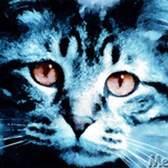 meow