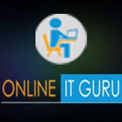 Online IT Guru