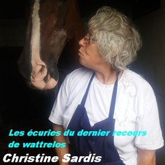 Les écuries du dernier recours de wattrelos