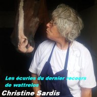 Les écuries du dernier recours de wattrelos