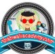 shahwaliacademy.com