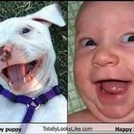 Kênh Phim Hàn Quốc