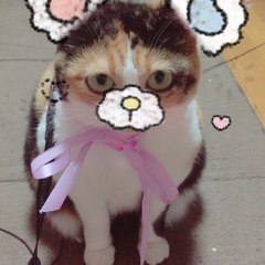 加藤 千絵