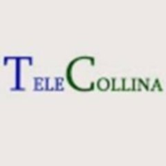 Tele Collina WEB TV