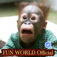 Fun World