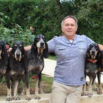 Petit Bleu de Gascogne