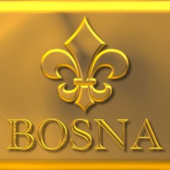 Na istočnom bedemu Bosne