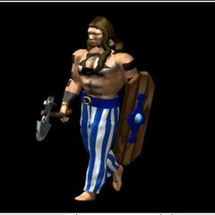 Woad Raider