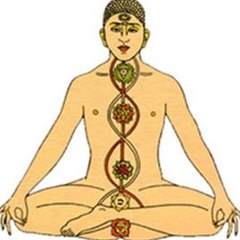 Yoga Life Learning Institute