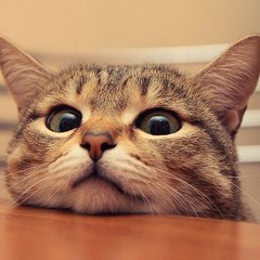 Funny
