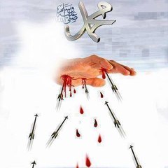 Wisdom of ISLAM