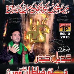 S Adeel Haider Naqvi