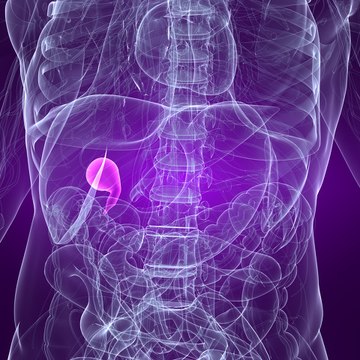 Gallbladder Cancer