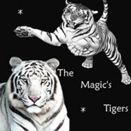 The Magic 's Tigers