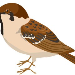 SparrowMan