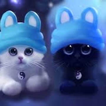 NEW Dessin Animé Francais