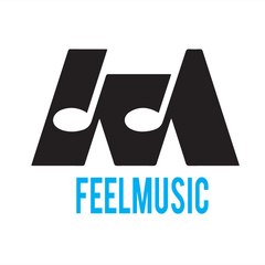 Feel Music