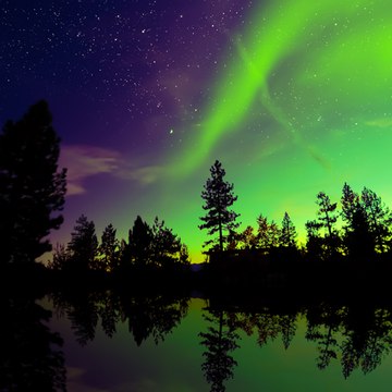 La Technologie Primitive ✓