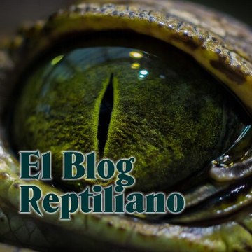El Blog Reptiliano  Conspiraciónes y Misterio