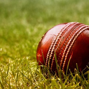 CricketBuzz