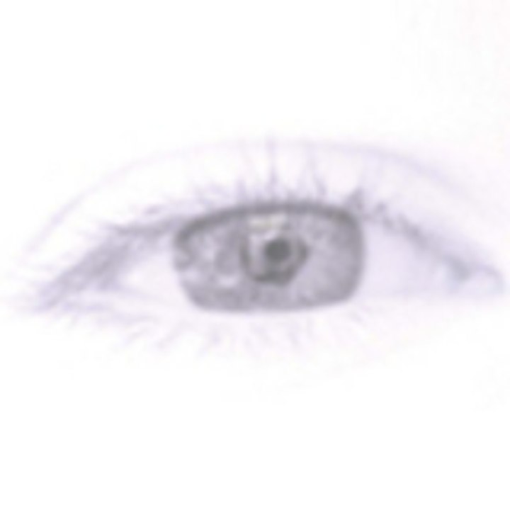 Dailymotion profile picture for @pinch