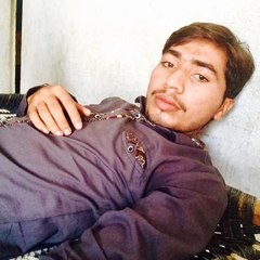 wajahatabbas53